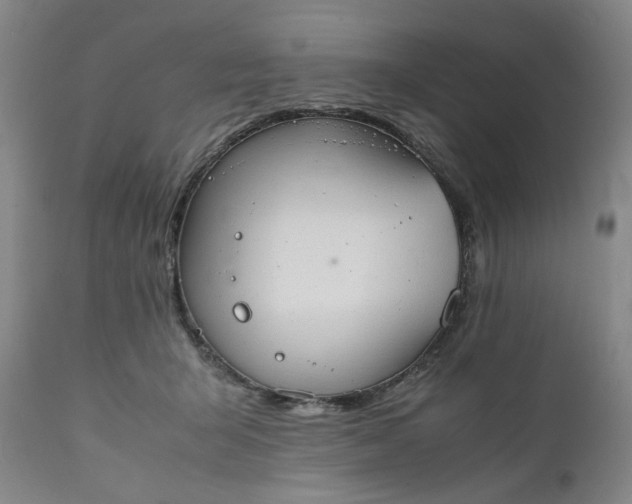 X0000111350415200907241203