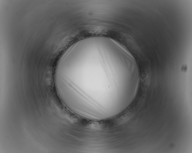 X0000111350416200907241203