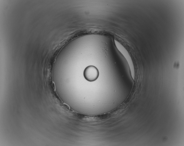 X0000111350417200907241203