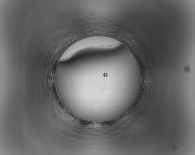 X0000111350419200907241203