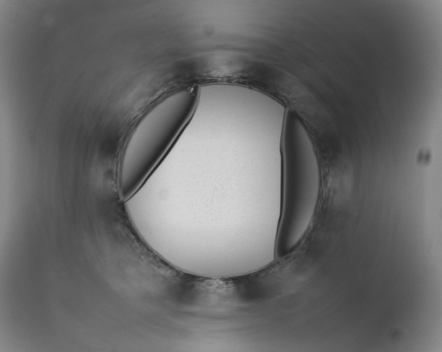 X0000111350421200907241203