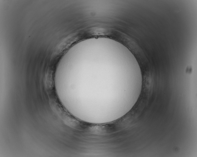 X0000111350422200907241203