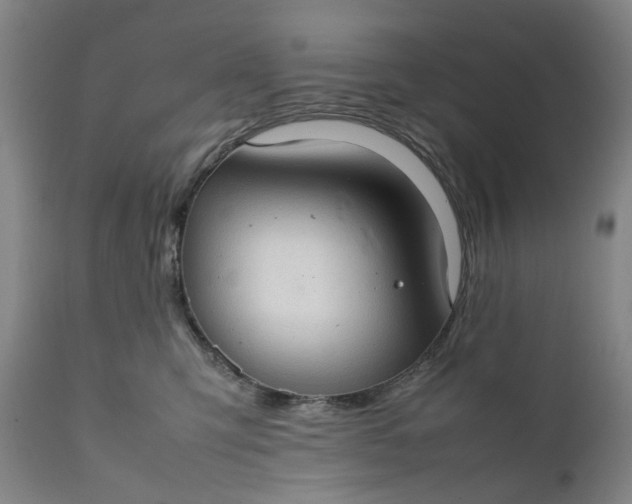 X0000111350423200907241203