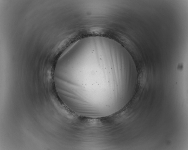 X0000111350424200907241203