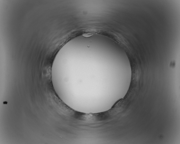 X0000111350425200907241203