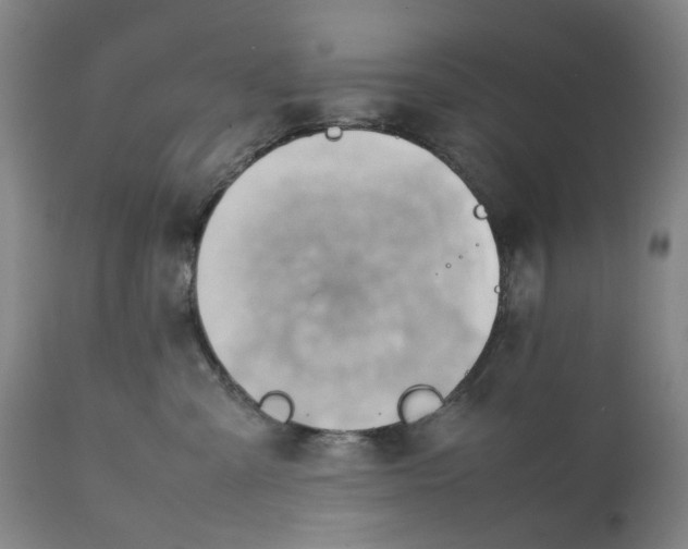 X0000111350427200907241203