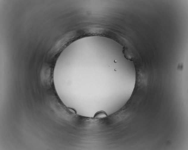 X0000111350428200907241203