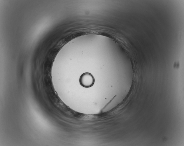 X0000111350429200907241202