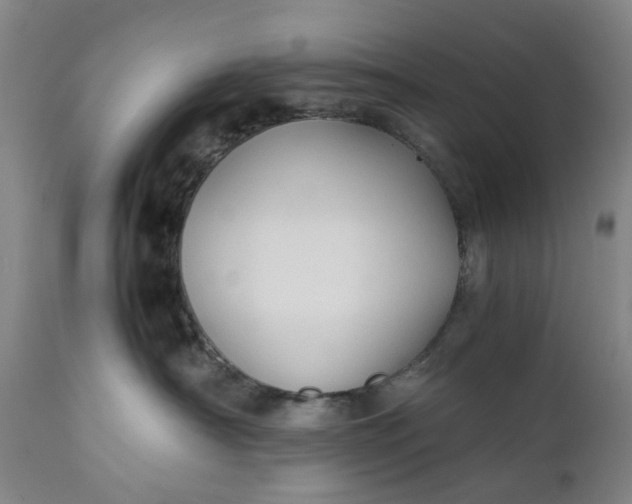 X0000111350430200907241202