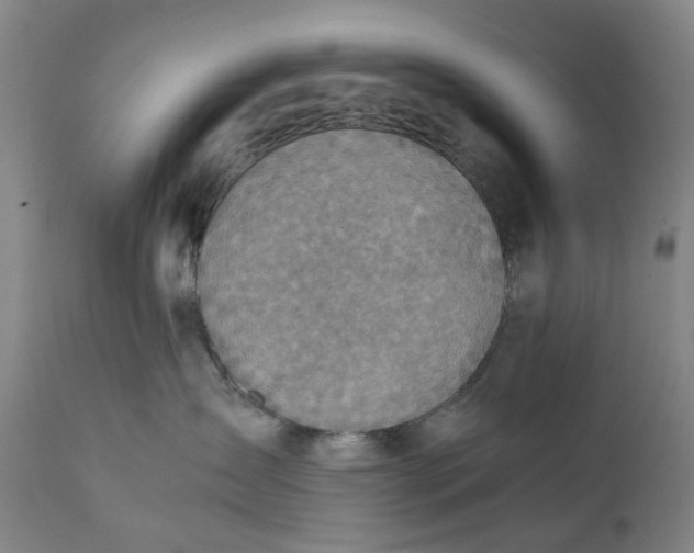 X0000111350431200907241202