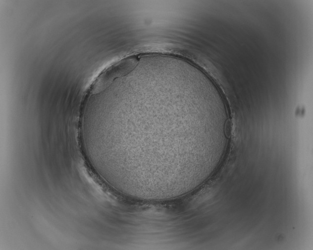 X0000111350434200907241202