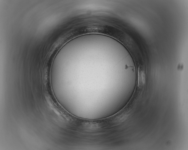 X0000111350435200907241202