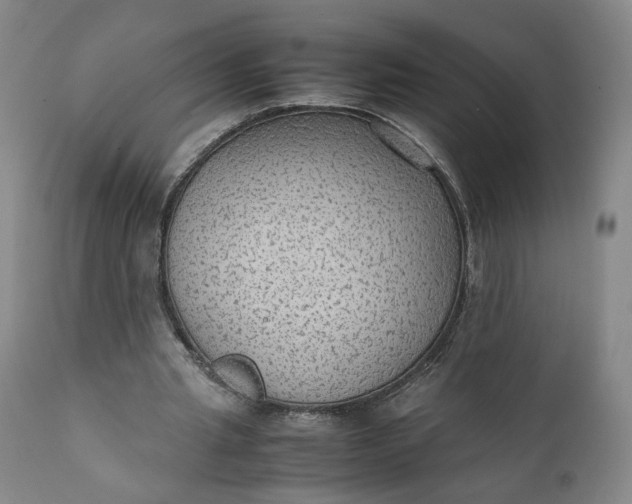 X0000111350437200907241202