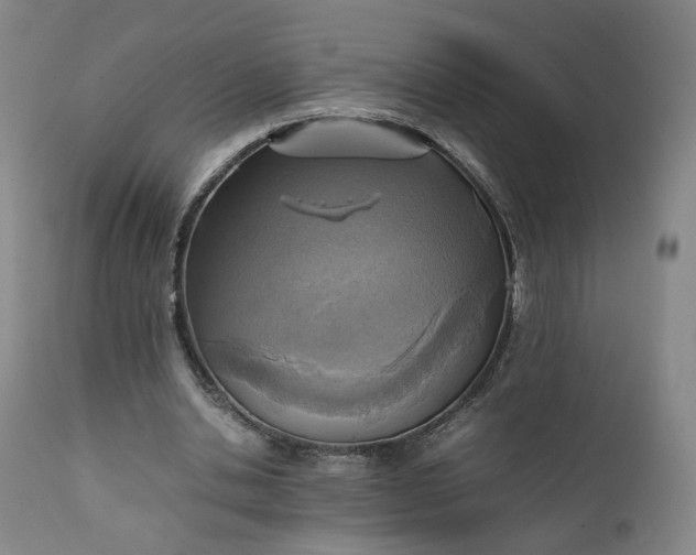 X0000111350438200907241202