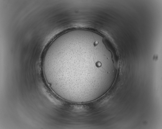 X0000111350439200907241202