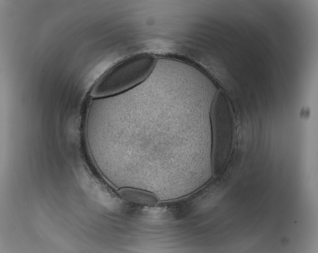 X0000111350440200907241202