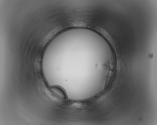 X0000111350441200907241202