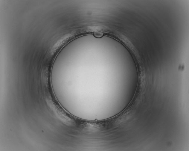 X0000111350442200907241202