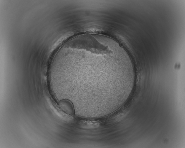 X0000111350443200907241202