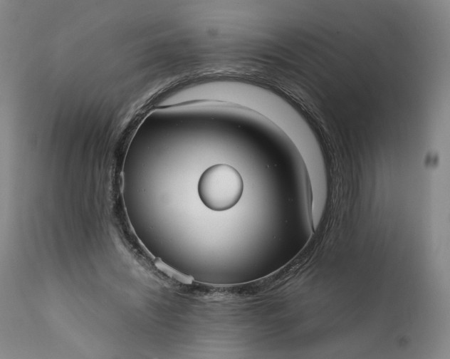 X0000111350444200907241202