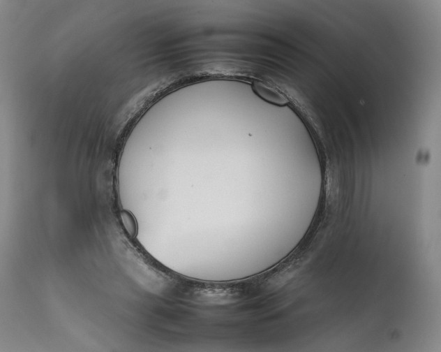 X0000111350445200907241202