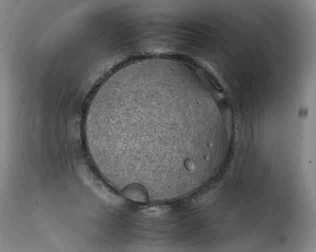 X0000111350447200907241202