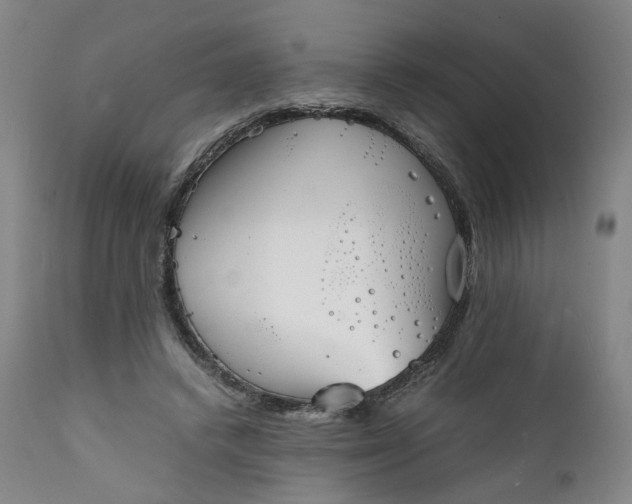 X0000111350448200907241202