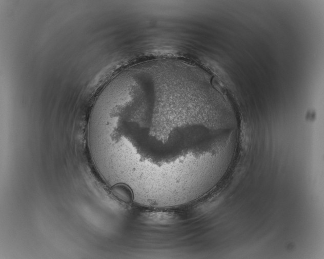 X0000111350449200907241202