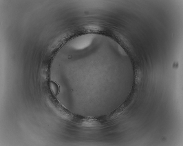 X0000111350451200907241202