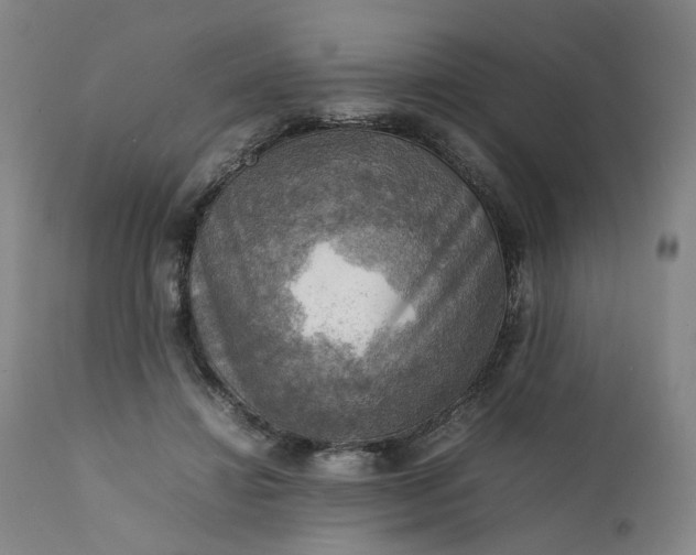 X0000111350452200907241202