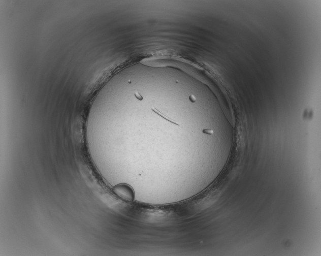 X0000111350453200907241202