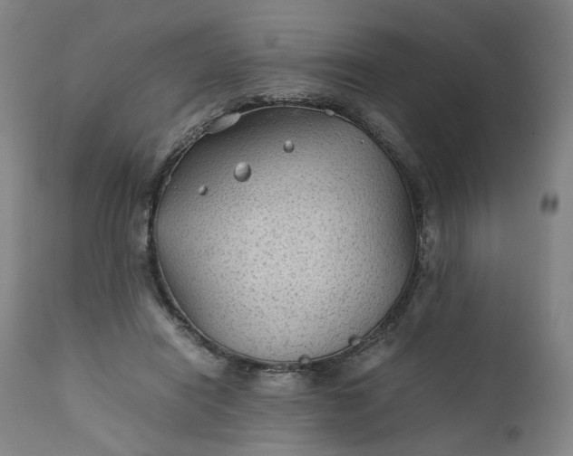 X0000111350454200907241202