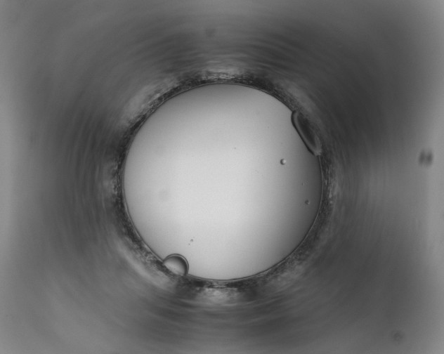 X0000111350455200907241202