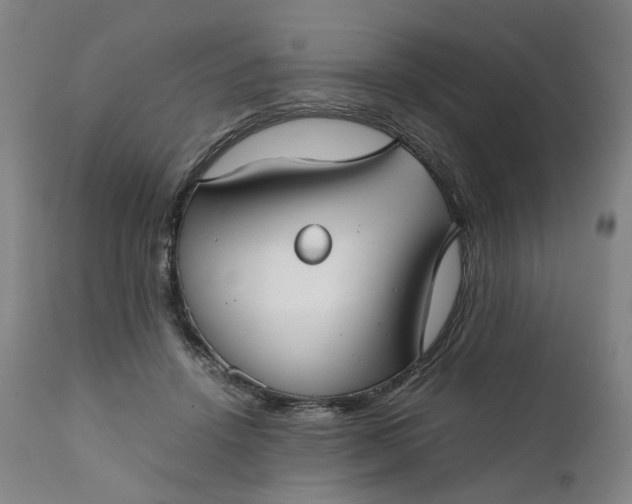 X0000111350456200907241202