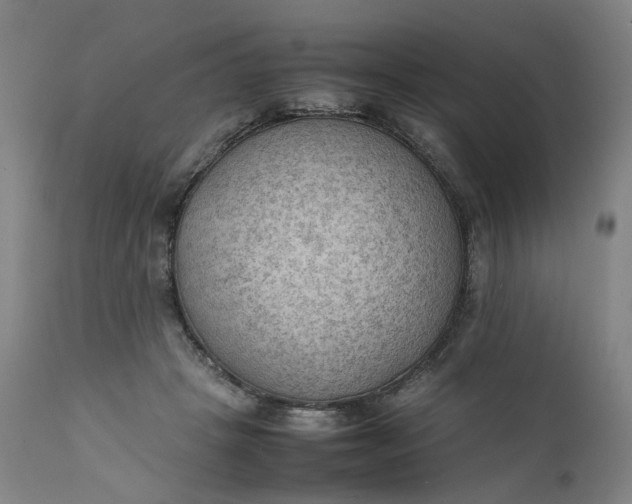 X0000111350457200907241202