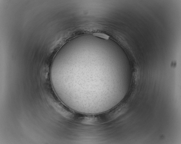 X0000111350458200907241202