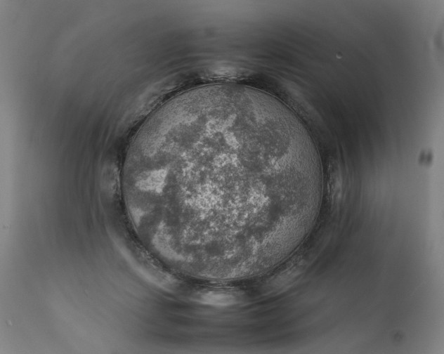 X0000111350459200907241202