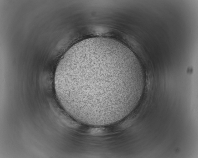 X0000111350461200907241202