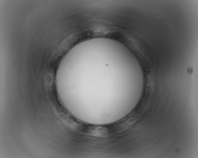 X0000111350463200907241202