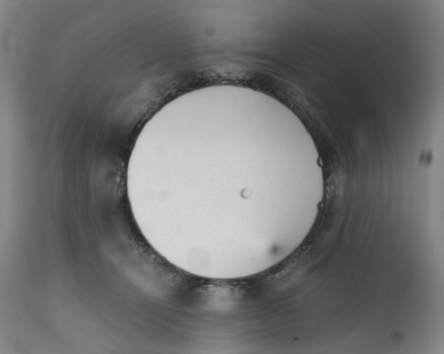 X0000111350464200907241202