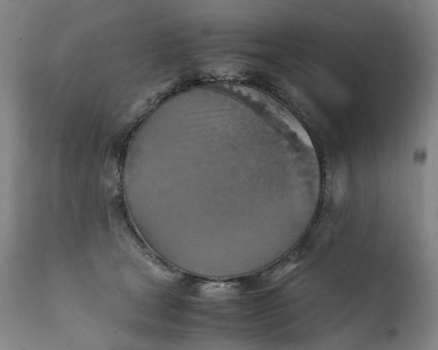 X0000111350465200907241202