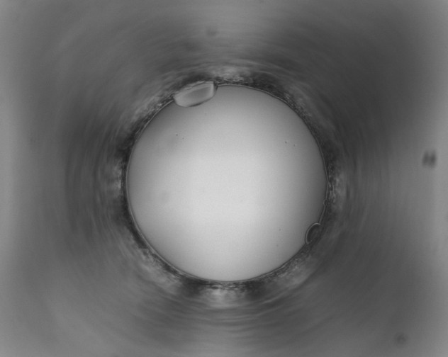 X0000111350466200907241202