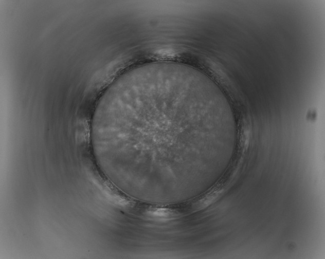 X0000111350467200907241202