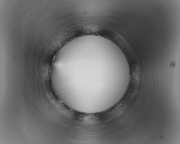 X0000111350468200907241202