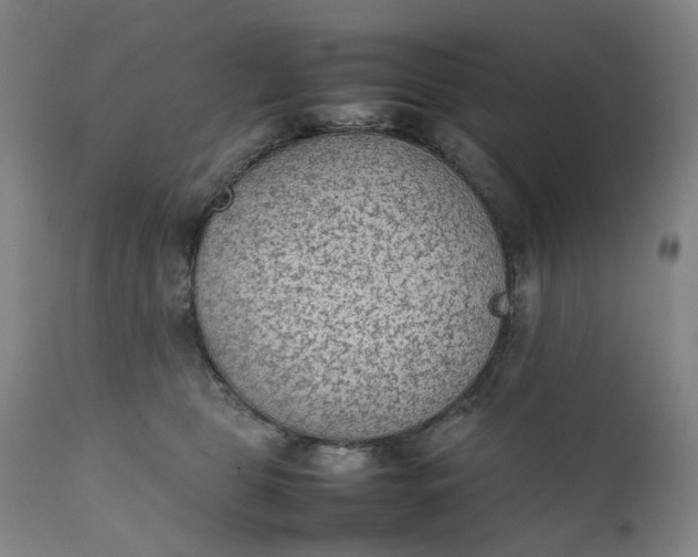 X0000111350469200907241202