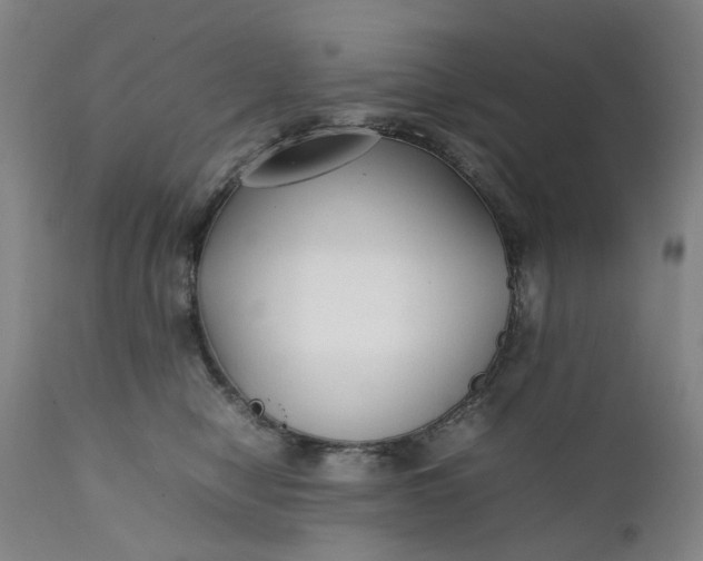 X0000111350470200907241202