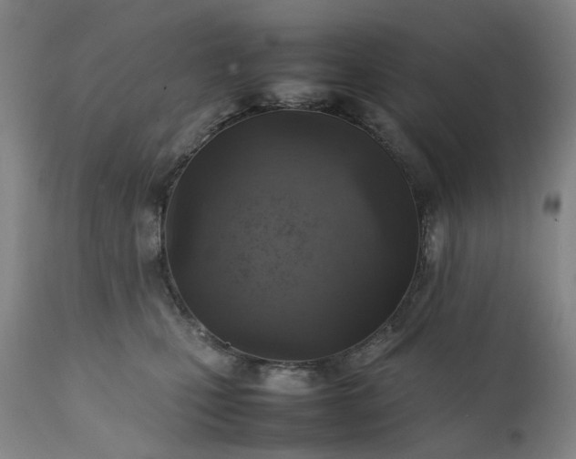 X0000111350471200907241202