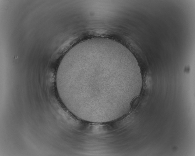 X0000111350472200907241202