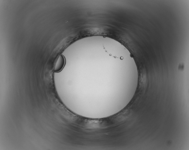 X0000111350473200907241202