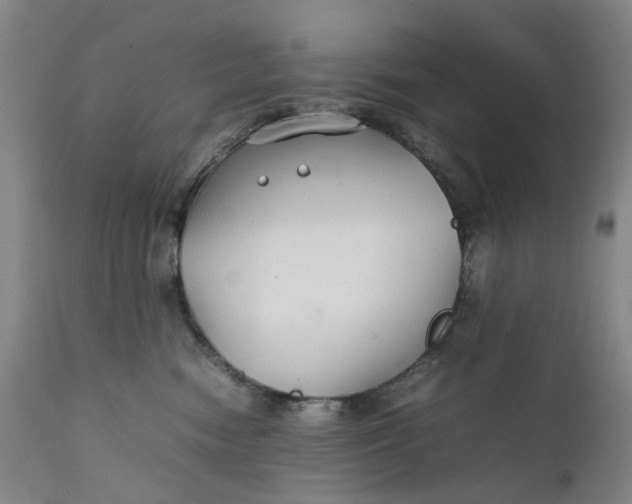 X0000111350474200907241202